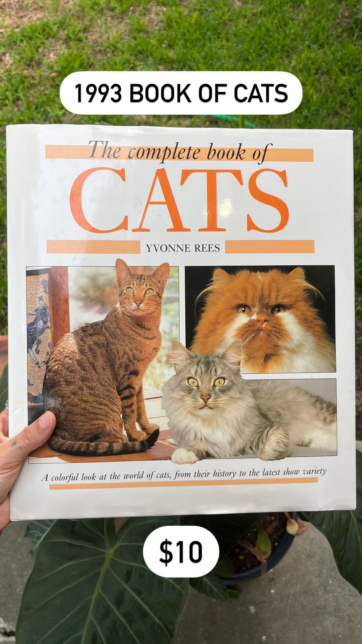 90s cats book for mckenzie