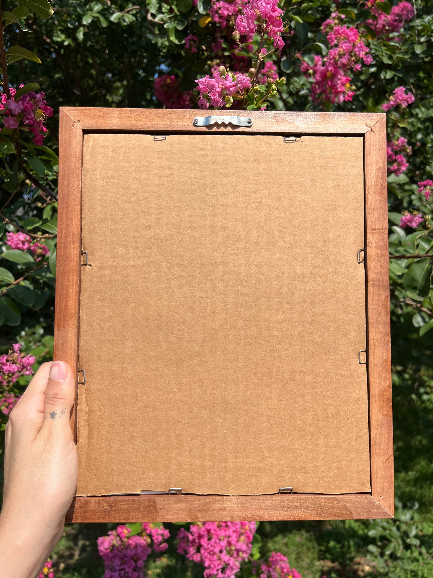 “cat on pink drape” framed art for michelle