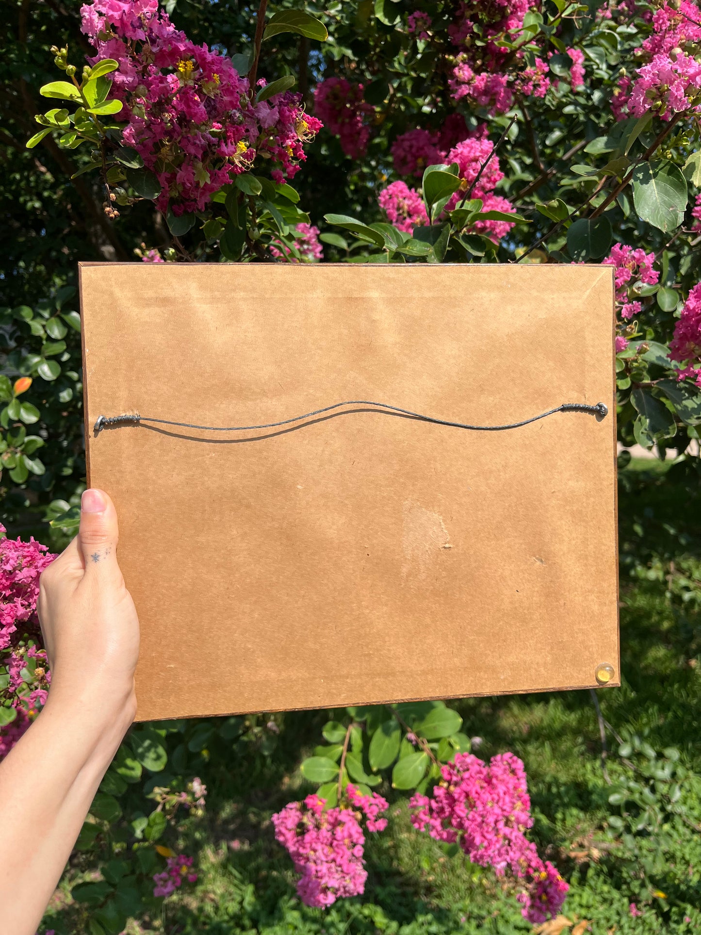 vintage framed tigers for aaron