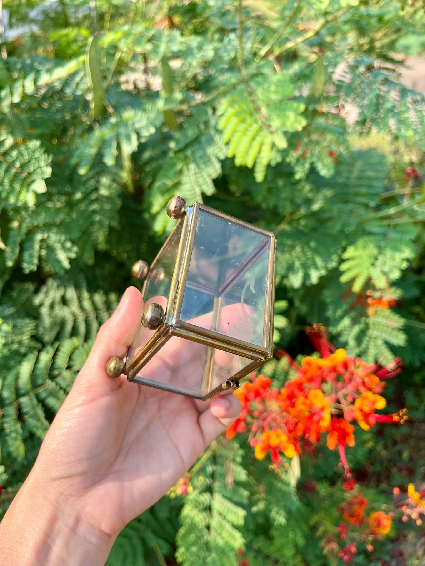 mcm glass swan box for noa