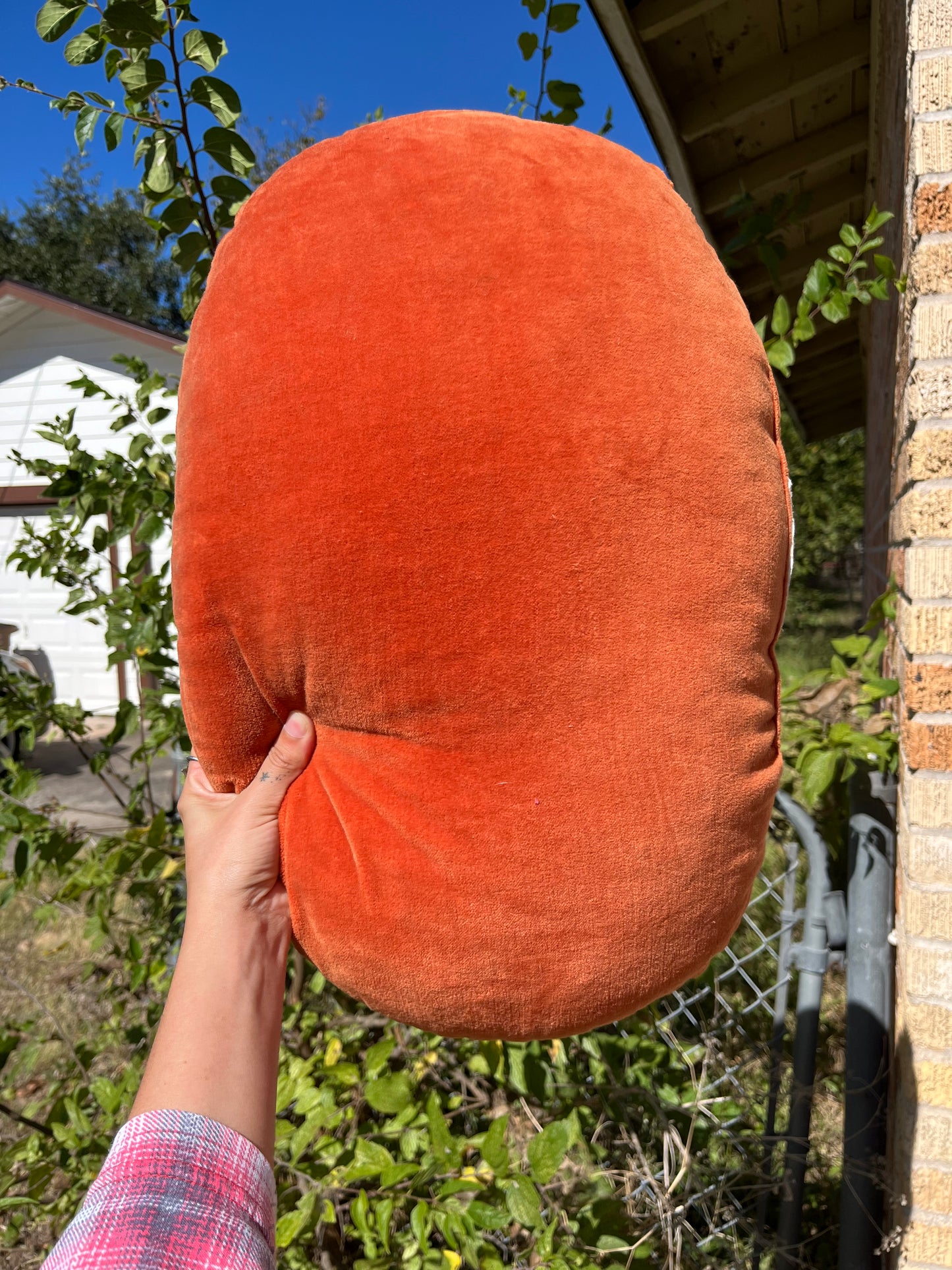 midcentury lizard pillow for mckenzie