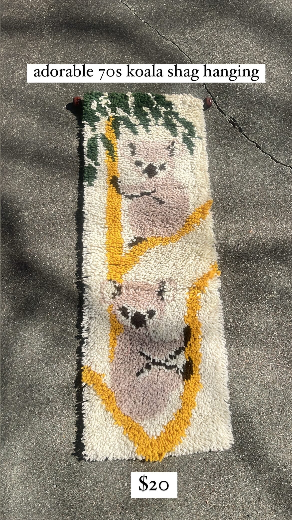 70s koala shag hanging for rose