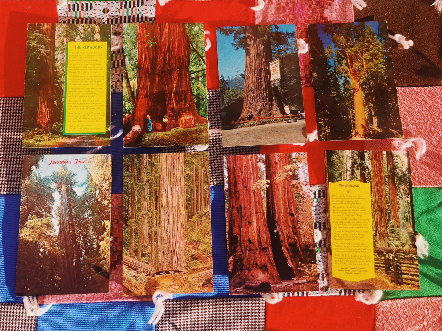 1970s Redwood NP Postcards