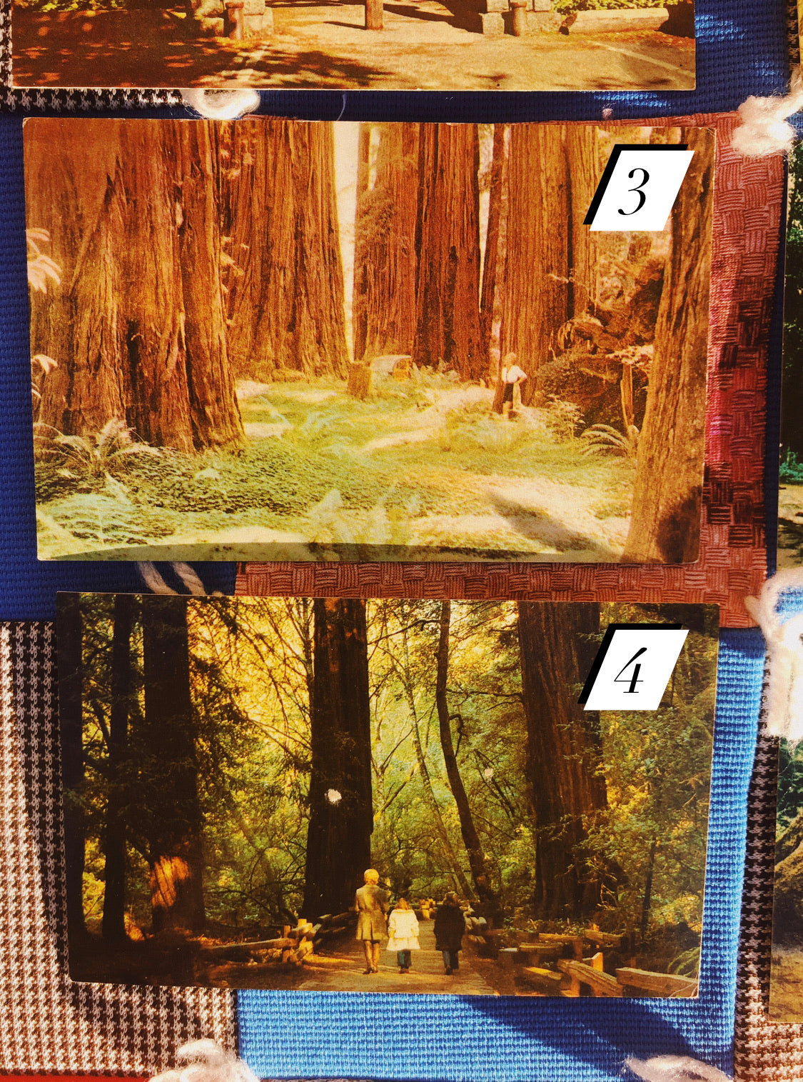 1970s Redwood NP Postcards