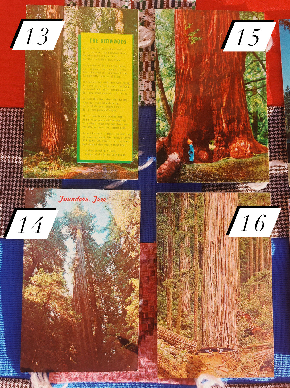 1970s Redwood NP Postcards