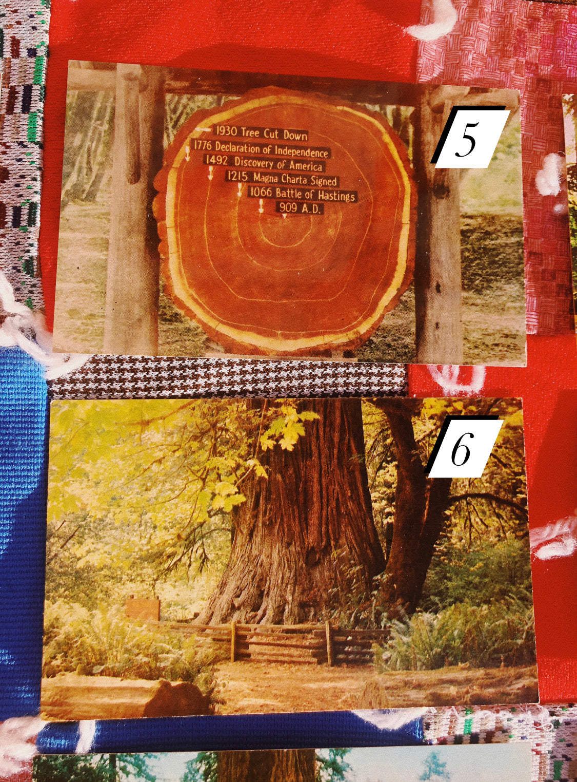 1970s Redwood NP Postcards