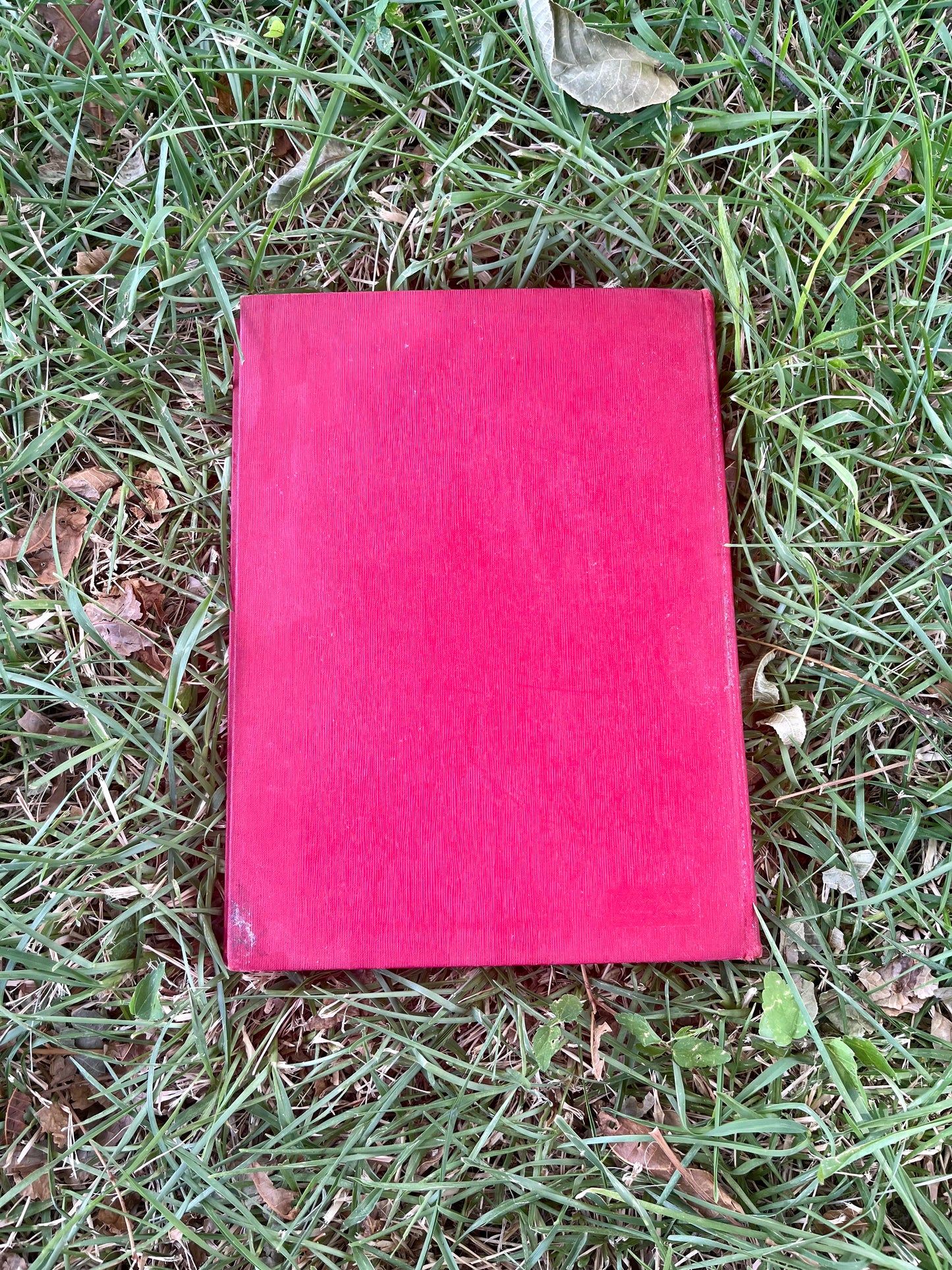 1969 Leopard Yearbook