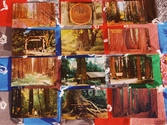 1970s Redwood NP Postcards