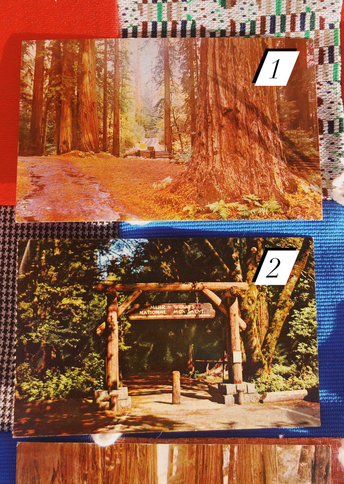 1970s Redwood NP Postcards