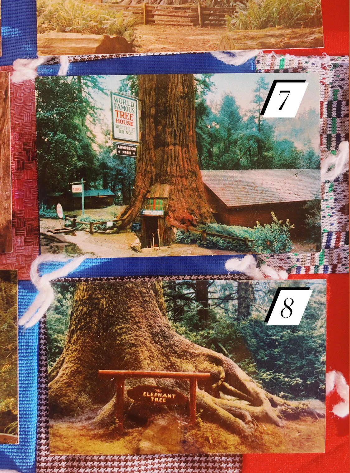 1970s Redwood NP Postcards