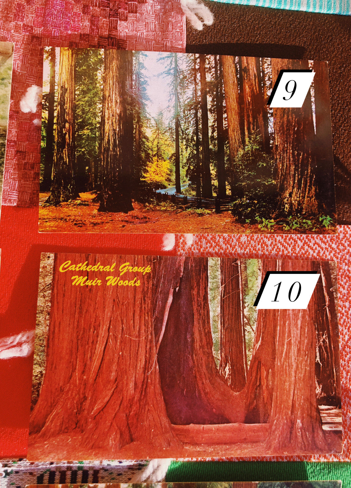 1970s Redwood NP Postcards