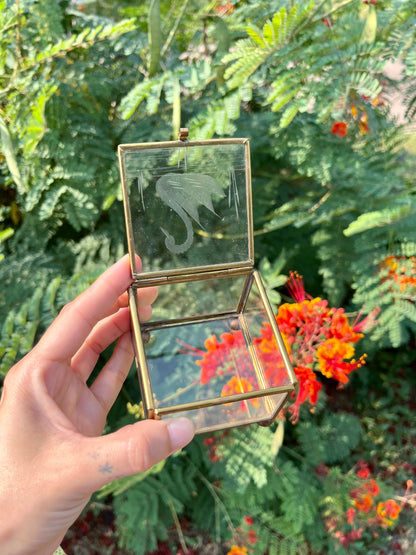 mcm glass swan box for noa