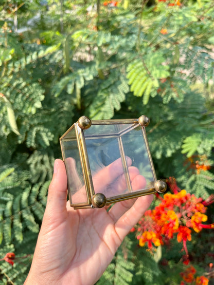 mcm glass swan box for noa