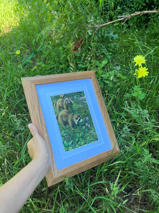 60s racoon bb’s for carly