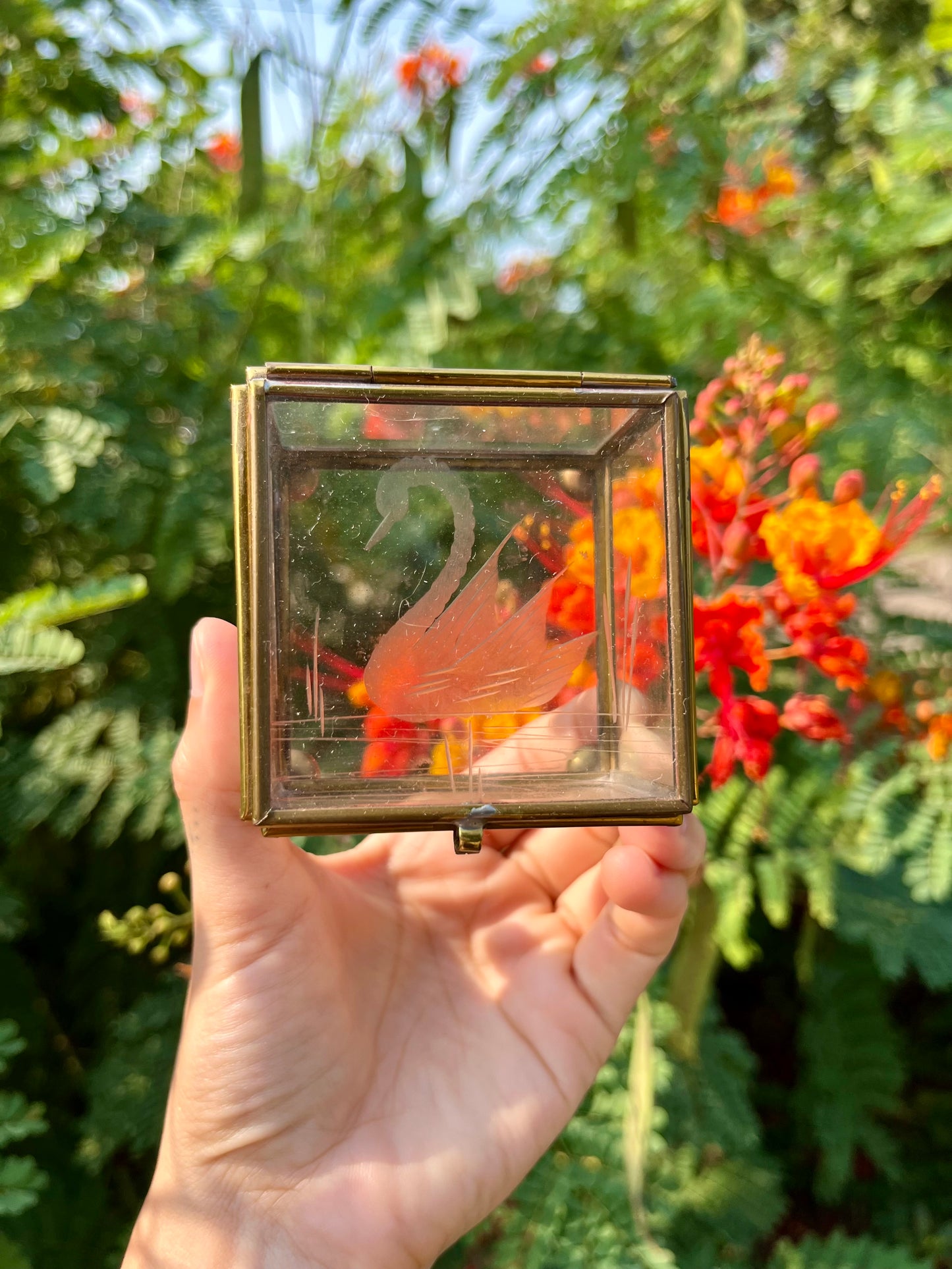 mcm glass swan box for noa