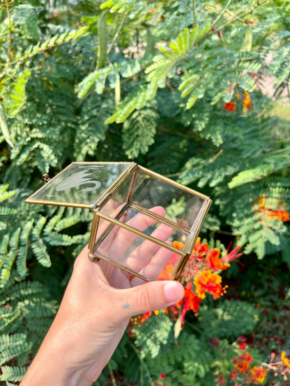 mcm glass swan box for noa