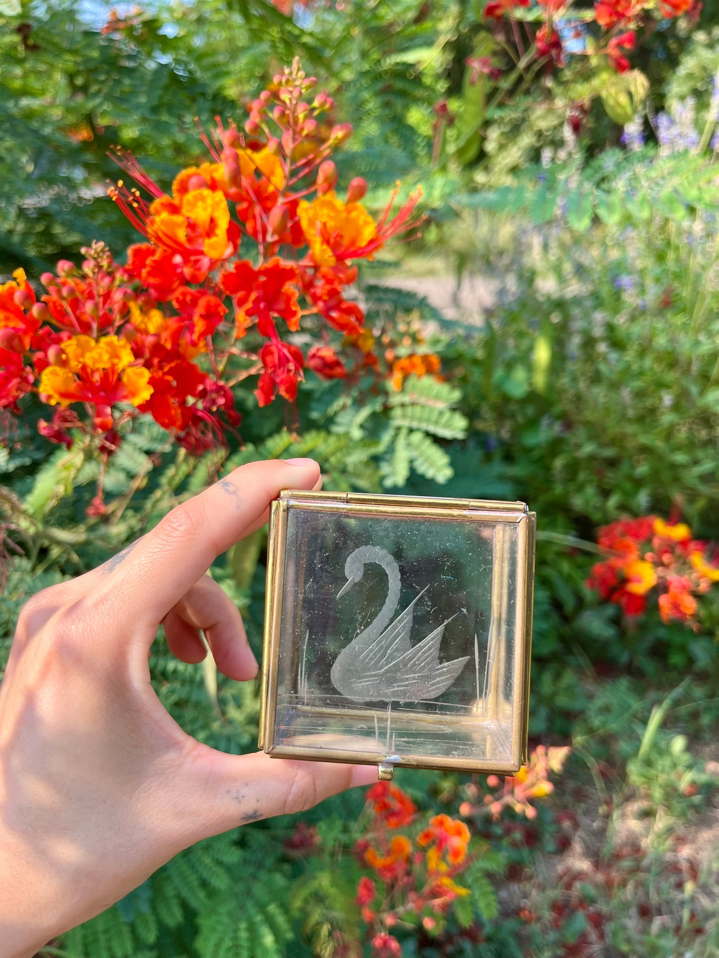 mcm glass swan box for noa