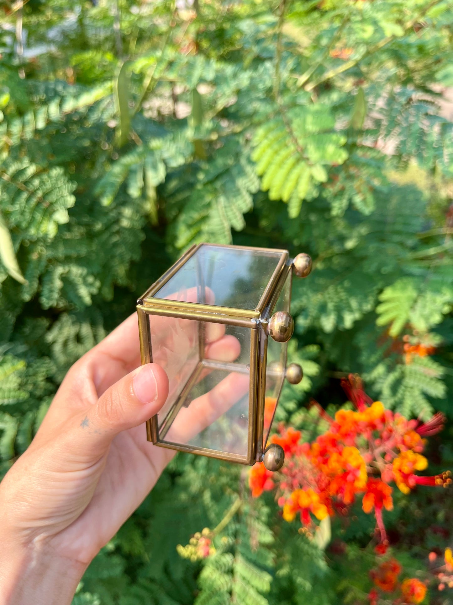 mcm glass swan box for noa