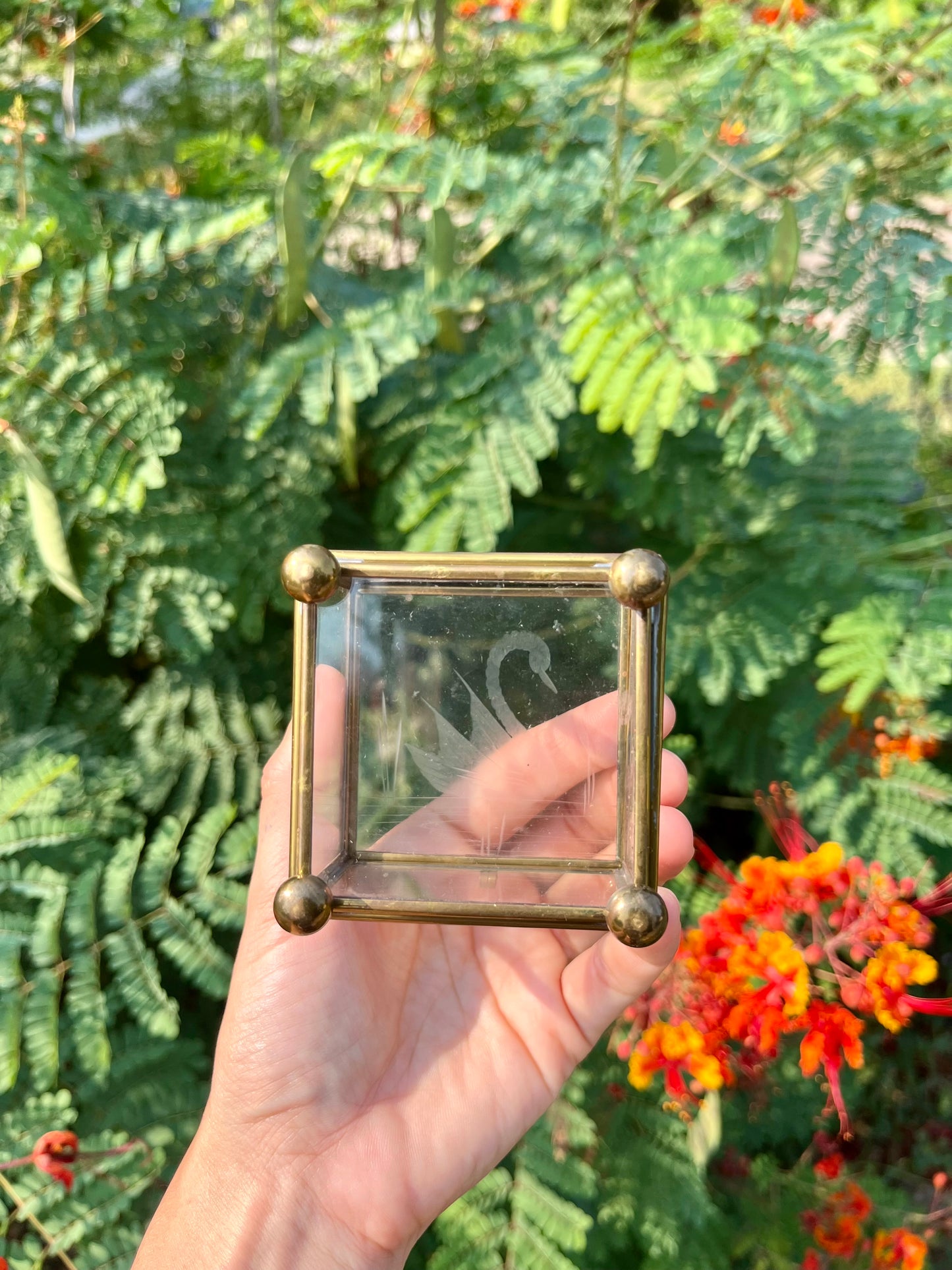 mcm glass swan box for noa