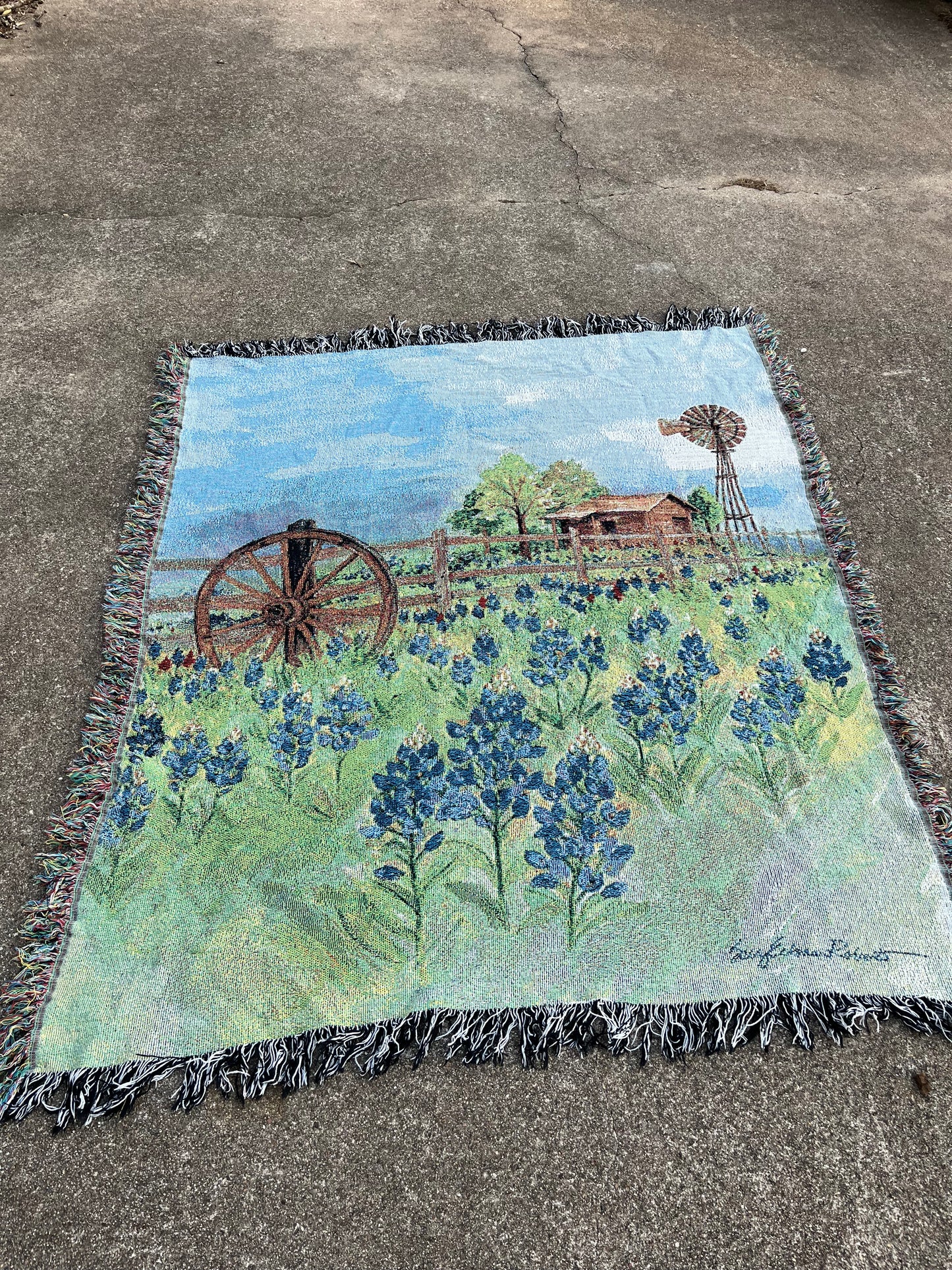 90s bluebonnet tapestry blanket for amnova