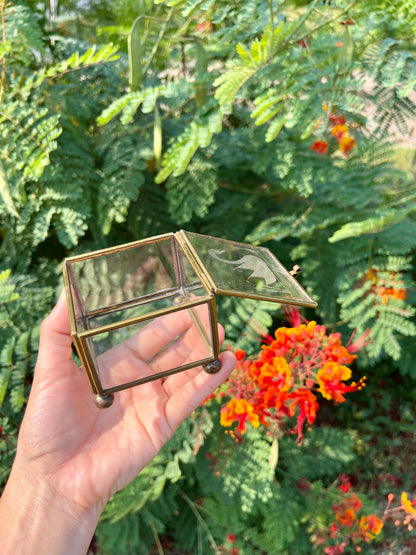 mcm glass swan box for noa