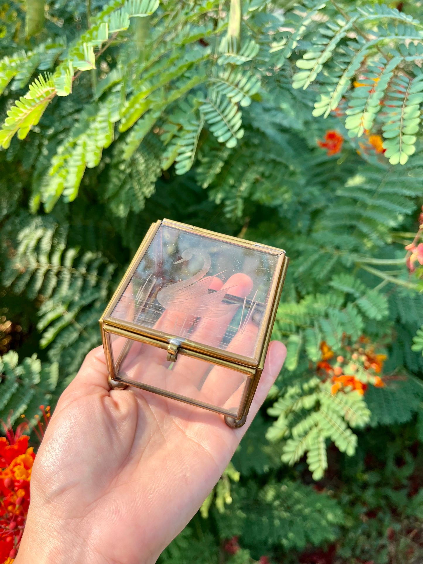 mcm glass swan box for noa