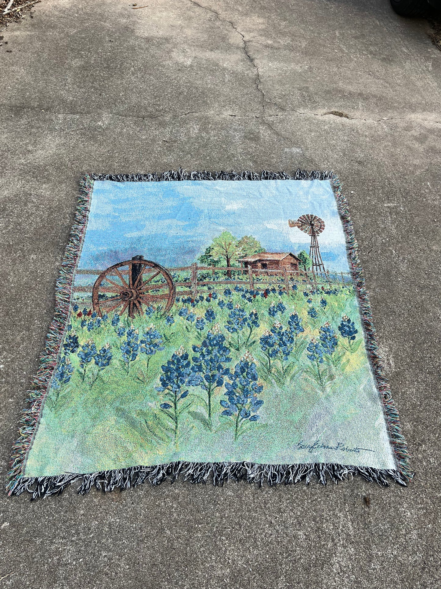 90s bluebonnet tapestry blanket for amnova