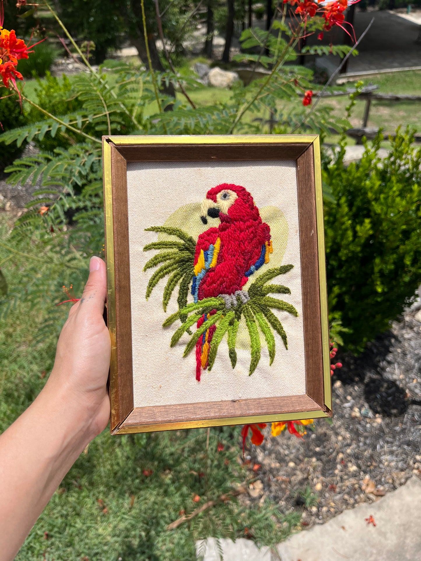 mcm parrot art for ry