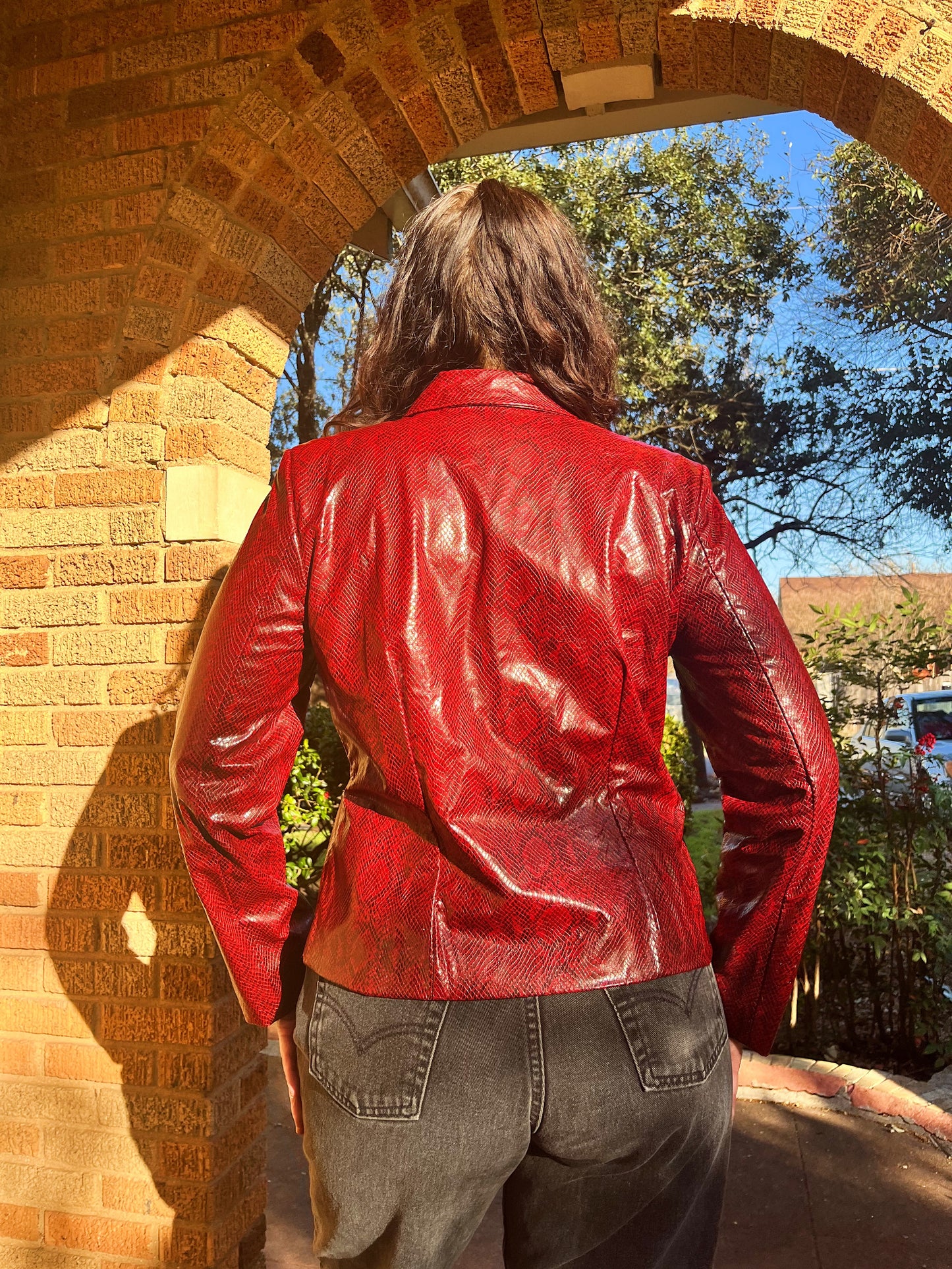 Y2K Faux Red Snakeskin Jacket