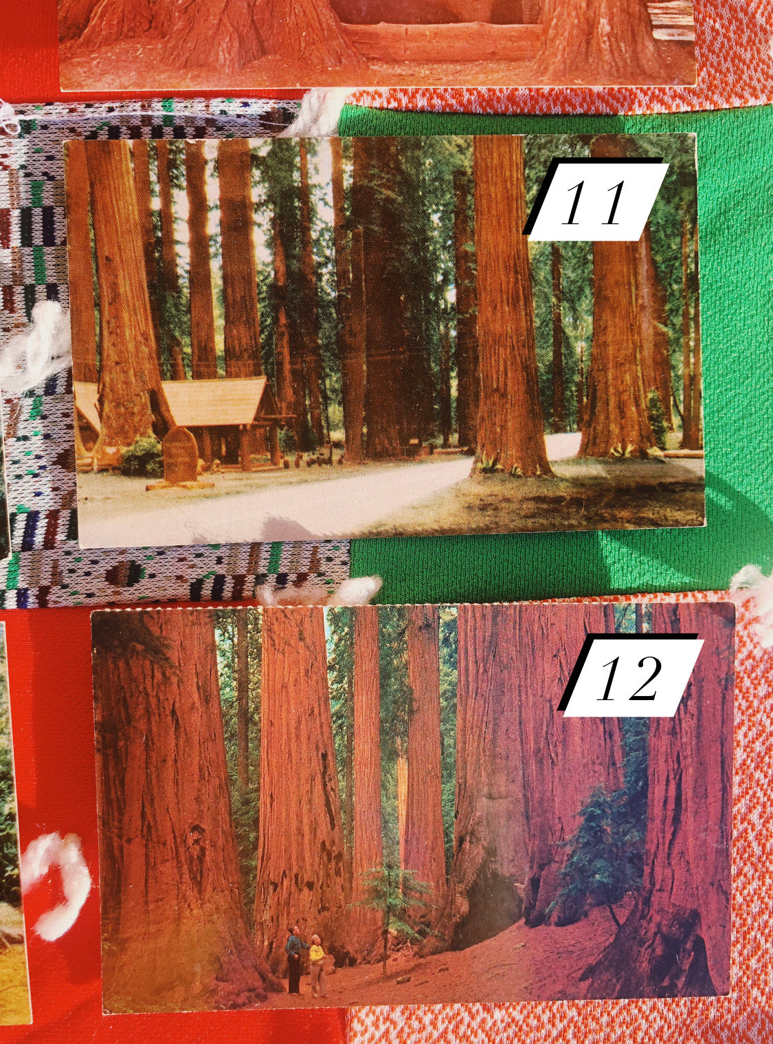 1970s Redwood NP Postcards