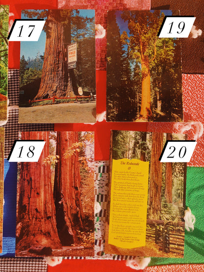 1970s Redwood NP Postcards