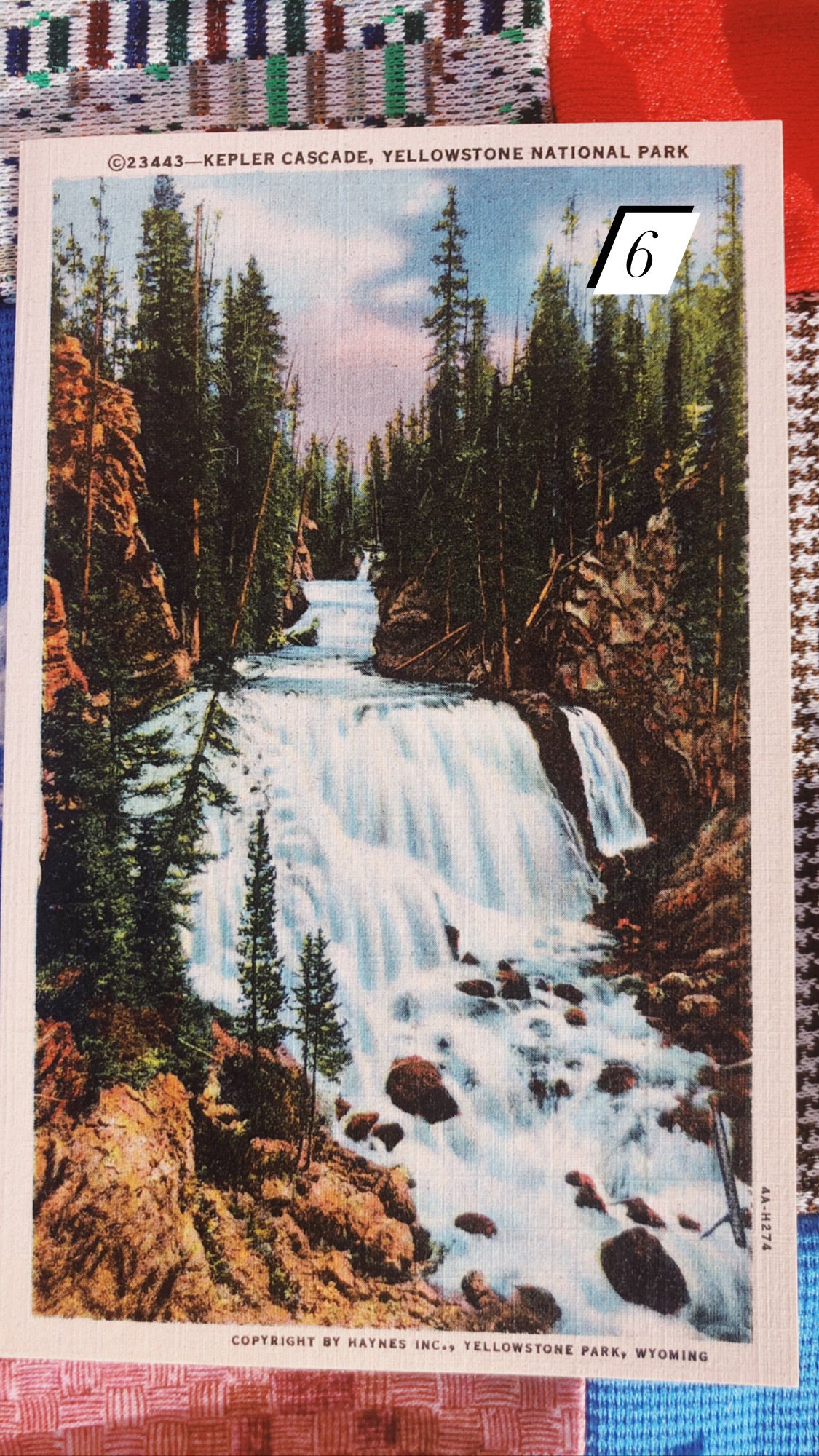 1940s Yellowstone Postcards